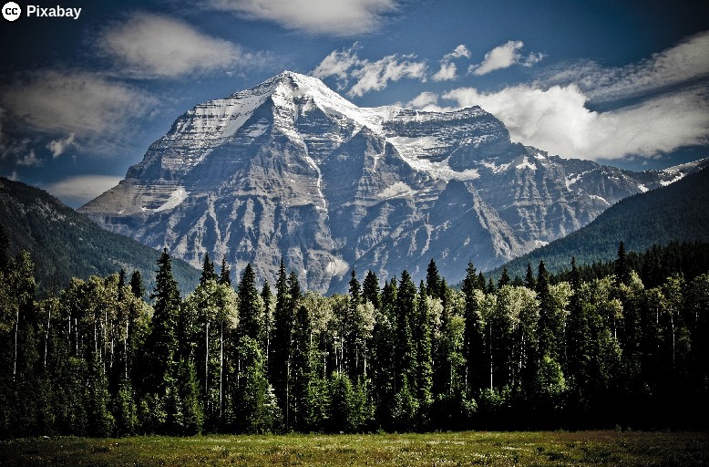 Hohe, verschneite Berge ragen hinter einem Wald auf. Bild von Keith Johnston auf Pixabay.