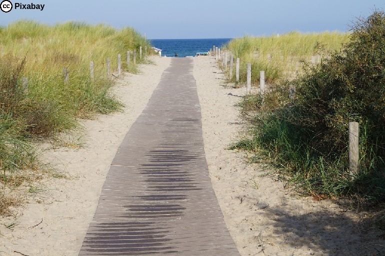 Ein Pfad aus Holzbohlen, der durch den Sand über die D&uuml;nen zum Meer hinf&uuml;hrt. Bild von Nancy Steffens auf Pixabay.