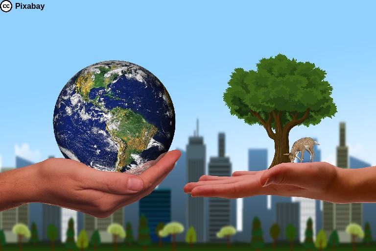 Links im Bild eine Hand, die die Erdkugel h&auml;lt, rechts eine Hand, auf der ein Laubbaum steht, vor dem ein Reh frisst. Der Hintergrund zeigt die Silhouette einer Großstadt. Bild von Gerd Altmann auf Pixabay.