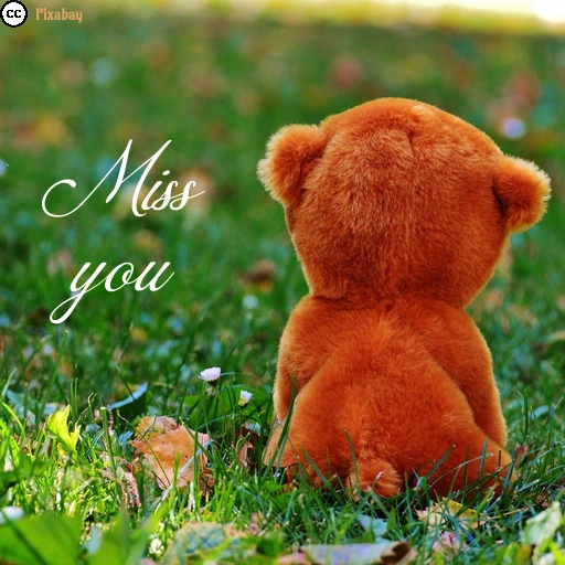 Das Foto zeigt einen braunen Teddybären, der mit dem Rücken zum Betrachter sitzt. Im Bild steht der Schriftzug &bdquo;Miss you&rdquo;.