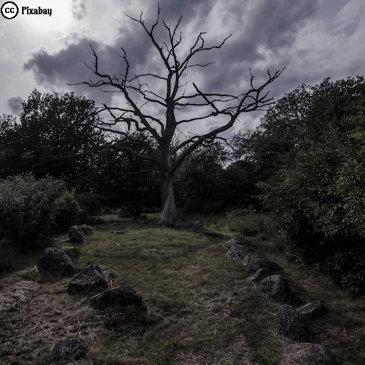 Ein abgestorbener Baum steht unter einem dunklen, wolkenverhangenen Himmel. Felsen und B&uuml;sche umgeben die Lichtung und erzeugen eine d&uuml;stere, fast mythische Atmosph&auml;re.