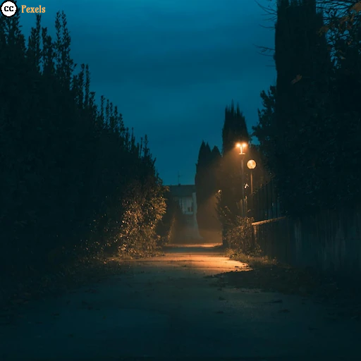 Eine schmale, nur von wenigen Straßenlaternen beleuchtete Straße verschwindet in der D&auml;mmerung zwischen hohen Hecken und B&auml;umen.