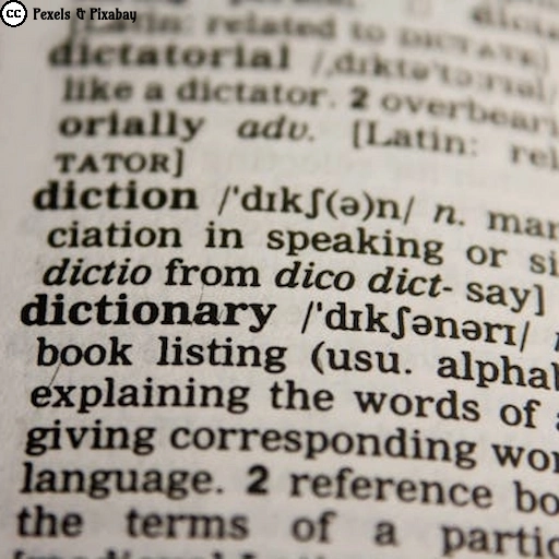 Nahaufnahme einer englischen W&ouml;rterbuchseite mit dem hervorgehobenen Eintrag &bdquo;dictionary&rdquo;.