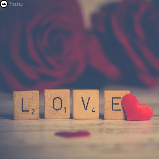 Das Wort &bdquo;LOVE&rdquo; aus Holzbuchstaben mit einem roten Herz davor. Im unscharfen Hintergrund liegen rote Rosen.