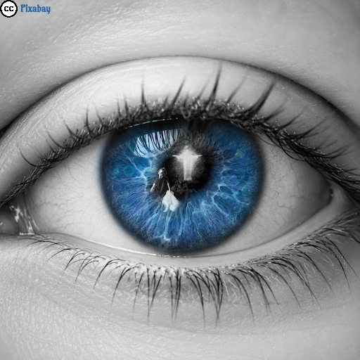 Nahaufnahme eines menschlichen Auges in Schwarz-Weiß mit leuchtend blauer Iris als Symbol für Selbstreflexion und das Innenleben.