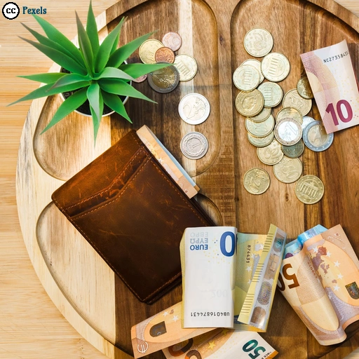In einer flachen Holzschale auf einem Tisch liegen eine Brieftasche, mehrere Geldscheine und Münzen. Daneben steht eine kleine grüne Topfpflanze.