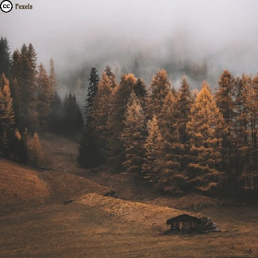 Nebel zieht durch einen herbstlichen Wald mit bunt gefärbten Bäumen. Am Rand einer sanften Lichtung steht eine kleine einsame Hütte.