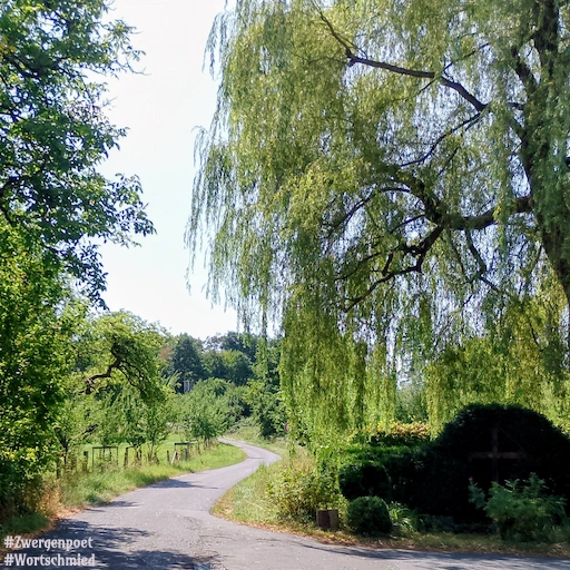 Ein schmaler asphaltierter Weg führt am Ende eines kleinen Dorfes zwischen Wiesen und Bäumen hindurch. Eine große Trauerweide überspannt den Weg, während dichtes Grün die ruhige Sommerlandschaft prägt.