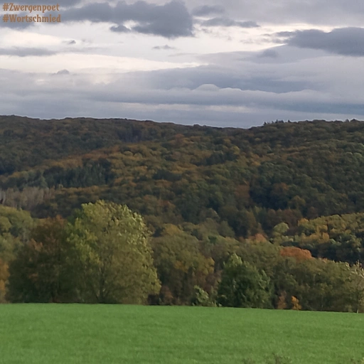 Das Foto zeigt den Blick über eine herbstliche Waldlandschaft unter einem wolkenverhangenen Himmel.